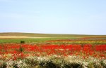 Ювілейний автопробіг журналістів